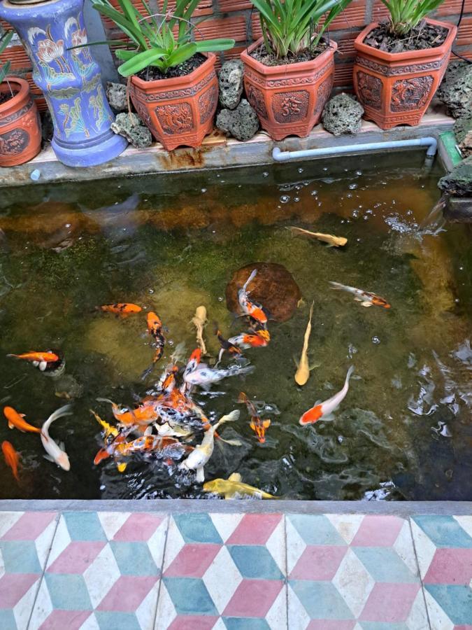 Hoa Lan Motel & Homestay Giong Tu Dien Esterno foto